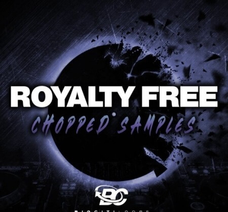 Big Citi Loops Royalty Free Chopped Samples WAV